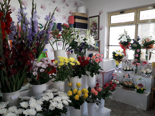 Нови Сад: Подстицај иновацијама